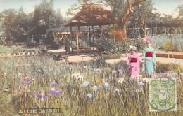 Japan - Iris Garden - REAL PHOTO TINTED - Sonstige & Ohne Zuordnung