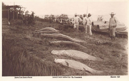 BRASIL Brazil - Largest Fresh-water Fish - Pirarara - Ed. Booth Line Amazon Crui - Otros & Sin Clasificación