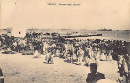 Libya - TRIPOLI - Animal Market - Libye