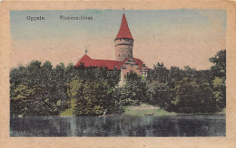 POLSKA Poland - OPOLE Oppeln - Piastenschloss - Polen