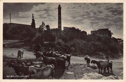 Liban - BEYROUTH - Le Phare - Ed. Photoédition 17 - Libanon