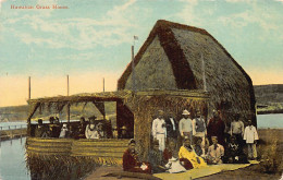 Hawaii - Hawaiian Grass House - Publ. Wall, Nichols & Co.  - Autres & Non Classés