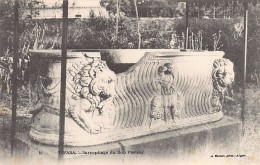 Algérie - TIPASA Tipaza - Parc Trémaux - Sarcophage Du Bon Pasteur - Ed. J. Geiser 51 - Autres & Non Classés