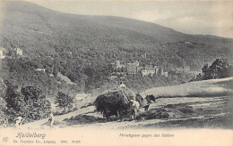 Deutschland - HEIDELBERG - Hirschgasse Gegen Das Schloss - Heuernte  - Heidelberg