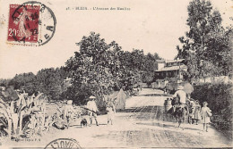 BLIDA - L'Avenue Des Moulins - Blida