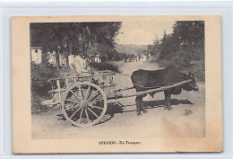 La Réunion - Un Transport - Attelage De Zébu - Ed. Inconnu  - Andere & Zonder Classificatie