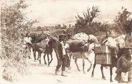 Bulgaria - World War One - Mule Train Of The Bulgarian Army Marching To The Front In Macedonia - REAL PHOTO - Bulgarije