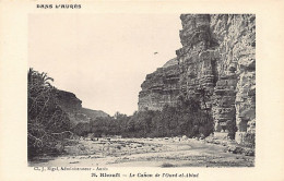RHOUFI - Dans L'Aurès - Le Canon De L'Oued El Abiod - Other & Unclassified