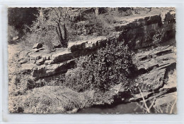 Niger - Les Gorges De L'Atapoa, Affluent Du Fleuve Niger - Ed. Diloutremer  - Niger