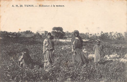 Tunisie - TUNIS - Bédouine Sà La Moisson - Ed. A.H. 20 - Tunesië