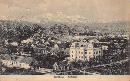 Montenegro - CETINJE - Panorama - Publ. A. Reinwein  - Montenegro