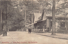 BRUXELLES - Bois De La Cambre - La Laiterie - Ed. Inconnu  - Other & Unclassified