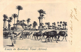 Libya - TRIPOLI - Hamamdji Oasis - Libya
