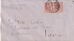 LETTERA 1919 2X10 TIMBRO PM 130-B (YK1260 - Storia Postale