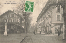 E895 Petit Lancy Avenue Des Ormeaux - Genève