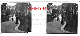 Plaque De Verre En Stéréo - MONTE CARLO En Février 1911 - Les Jardins Bien Animés - Taille 43 X 107 Mlls - Plaques De Verre