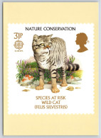 Nature Conservation - Wild Cat PHQ Postcard, Unposted 1986 - Cartes PHQ