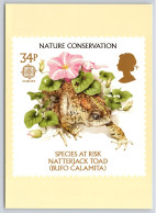 Nature Conservation - Natterjack Toad PHQ Postcard, Unposted 1986 - Cartes PHQ