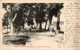 N°4530 W -cpa Montigny Sur Aube -promenade Du Rempart-t - Other & Unclassified