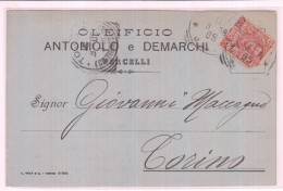 OLEIFICIO ANTONIOLO E DEMARCHI VERCELLI - BIGLIETTO COMMERCIALE 1903 - Autres & Non Classés