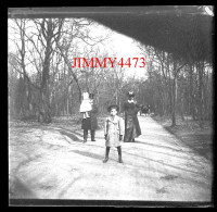 Plaque De Verre - Bois De Boulogne En 1902 - Familles Dans Une Allée Et Attelage Au Loin - Taille 43 X 45 Mlls - Glass Slides