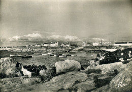 CPSM  La Pointe De TREVIGNON -  Vue D'ensemble. - Autres & Non Classés