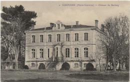 D 31   CUGNAUX   Chateau De Rachety - Autres & Non Classés