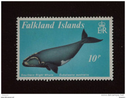 Falkland Islands Yv 515 MNH ** - Baleines