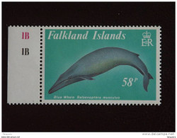 Falkland Islands Yv 518 MNH ** - Wale