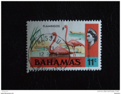 Bahamas 1971 Flamants Roses Flamingo's Yv 311 O - 1963-1973 Autonomie Interne