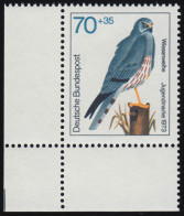 757 Jugend Greifvögel 70+35 Pf Wiesenweihe ** Ecke U.l. - Unused Stamps