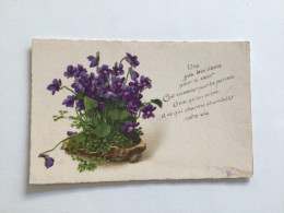 Carte Postale Ancienne (1923) Violettes Avec Texte - Fleurs