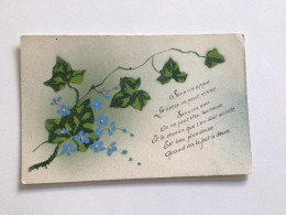 Carte Postale Ancienne (1923) Myosotis Et Lierre Avec Texte - Blumen