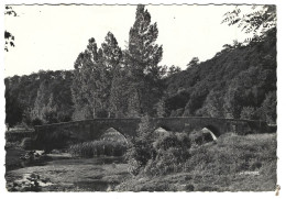 85 Mervent - Le Vieux  Pont De La Vallee - Autres & Non Classés