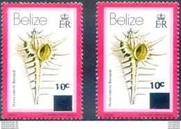 Definitiva. Conchiglie. Soprastampati 1981-1983. - Belize (1973-...)