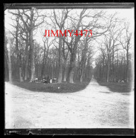 Plaque De Verre - Pique-Nique - Une Famille Dans Les Bois, à Identifier - Taille 44 X 45 Mlls - Glass Slides