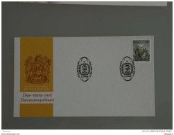 Zuid Afrika South Africa Afrique Du Sud RSA 1982 Inauguration Ellispark Datumstempelkaart Date-stamp Card Carte Cachet - Brieven En Documenten