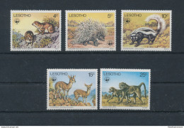 1977 Lesotho, Michel N. 228 - 32, Animali - Fauna Esotica, WWF, 5 Valori - MNH** - Sonstige & Ohne Zuordnung