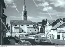 Cf641 Cartolina Tonezza Del Cimone Centro E Albergo Posta Vicenza Veneto - Vicenza