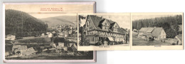 Leporello-AK Altenau I. H., Altenau Vom Rothenberge, Breitestrasse, Hotel Rathaus, Wolfswarte  - Altenau