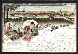 Lithographie Grimma, Panoramablick Vom Ort, Ansicht Vom Hohnstädter Thor  - Grimma