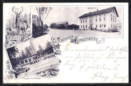 AK Klingenberg / Sachsen, Gasthaus Sachsenhof, Dresdner Sommerheim  - Klingenberg (Sachsen)