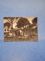 Milano Marittima-cervia-ville In Pineta-fg-1954 - Other & Unclassified