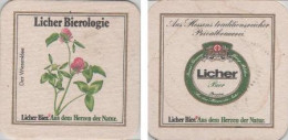 5002441 Bierdeckel Quadratisch - Licher Wiesenklee - Beer Mats