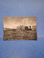 Livorno-bagni Pancaldi-albergo Palazzo-fg-1954 - Livorno