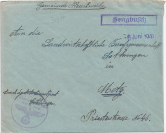 37355# HINDENBURG LOTHRINGEN LETTRE FRANCHISE HENRIVILLE ? Obl SENGBUSCH 6 Juin 1941 SEINGBOUSE MOSELLE METZ - Brieven En Documenten