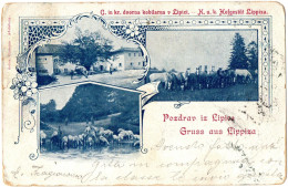 1.20.3 SLOVENIA, GRUSS AUS LIPIZZA. POZDRAV IZ LIPICE, 1899, POSTCARD - Slovenië