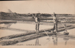 Cpa  Le Travail Dans Les Marais-salants La Récolte Du Sel - Autres & Non Classés