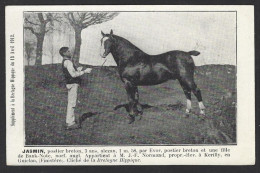 CPA Hippisme Cheval Horse Bretagne Attelage Non Circulé Kerilly Finistère - Ippica