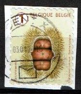 België / Belgique / Belgium / Belgien Tamme Kastanje 2021(OBP 5029 ) - Usati